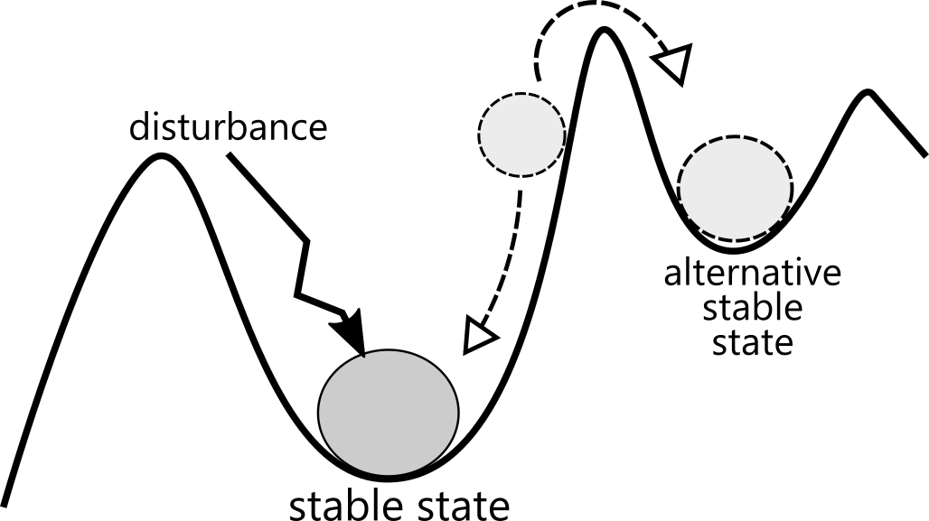 Disturbance theory