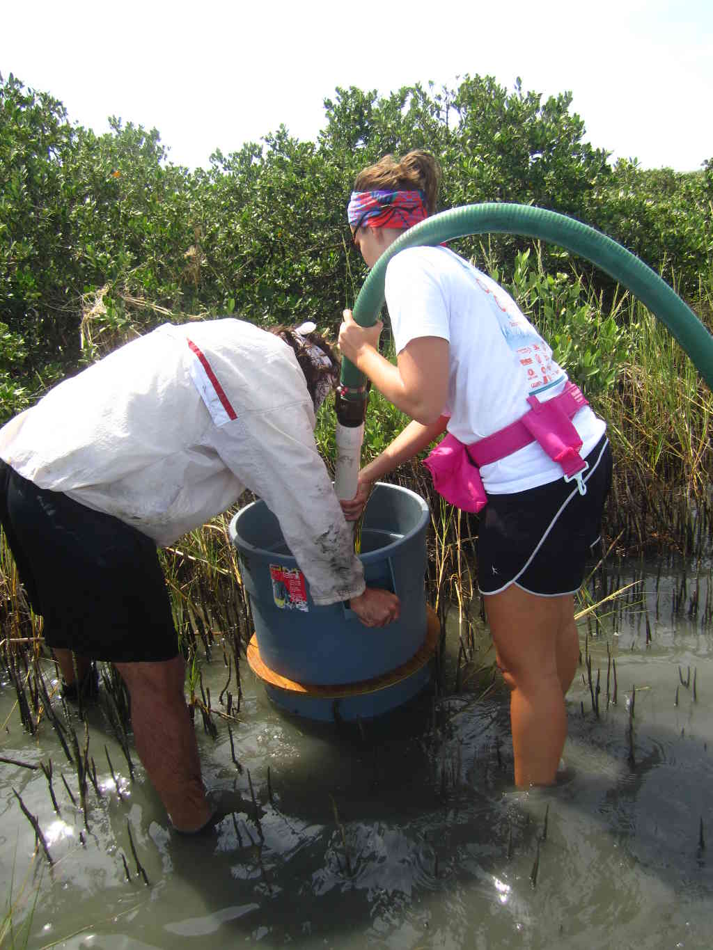 Suction Sampling