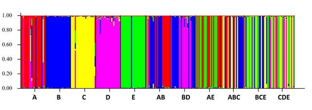 ACER SNP analysis