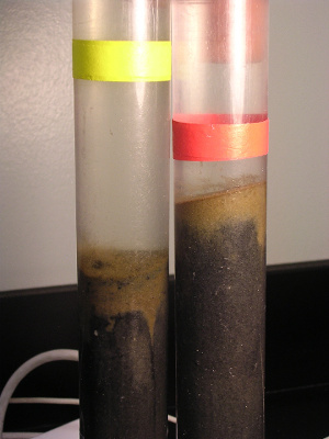 denitrification cores