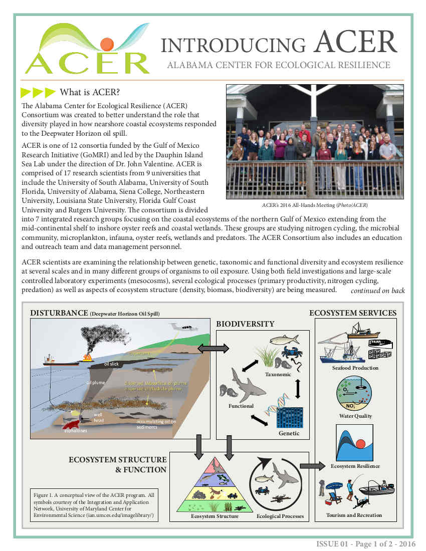 Fact Sheet 1- Introduction to ACER