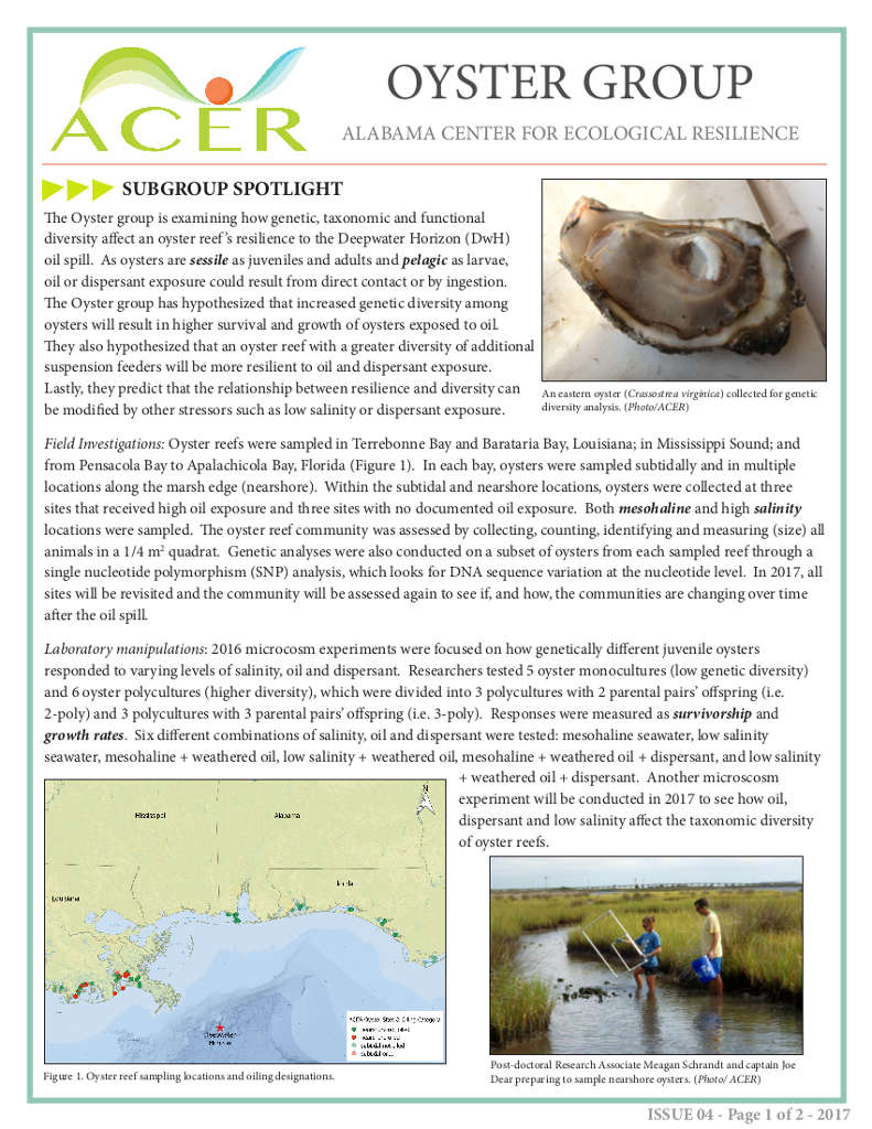Fact Sheet 4- ACER group Spotlight: Oysters